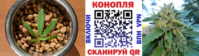 Еда ТГК марихуана  как найти   Гудермес 
