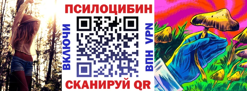 Псилоцибиновые грибы Psilocybe  как найти закладки  Гудермес 